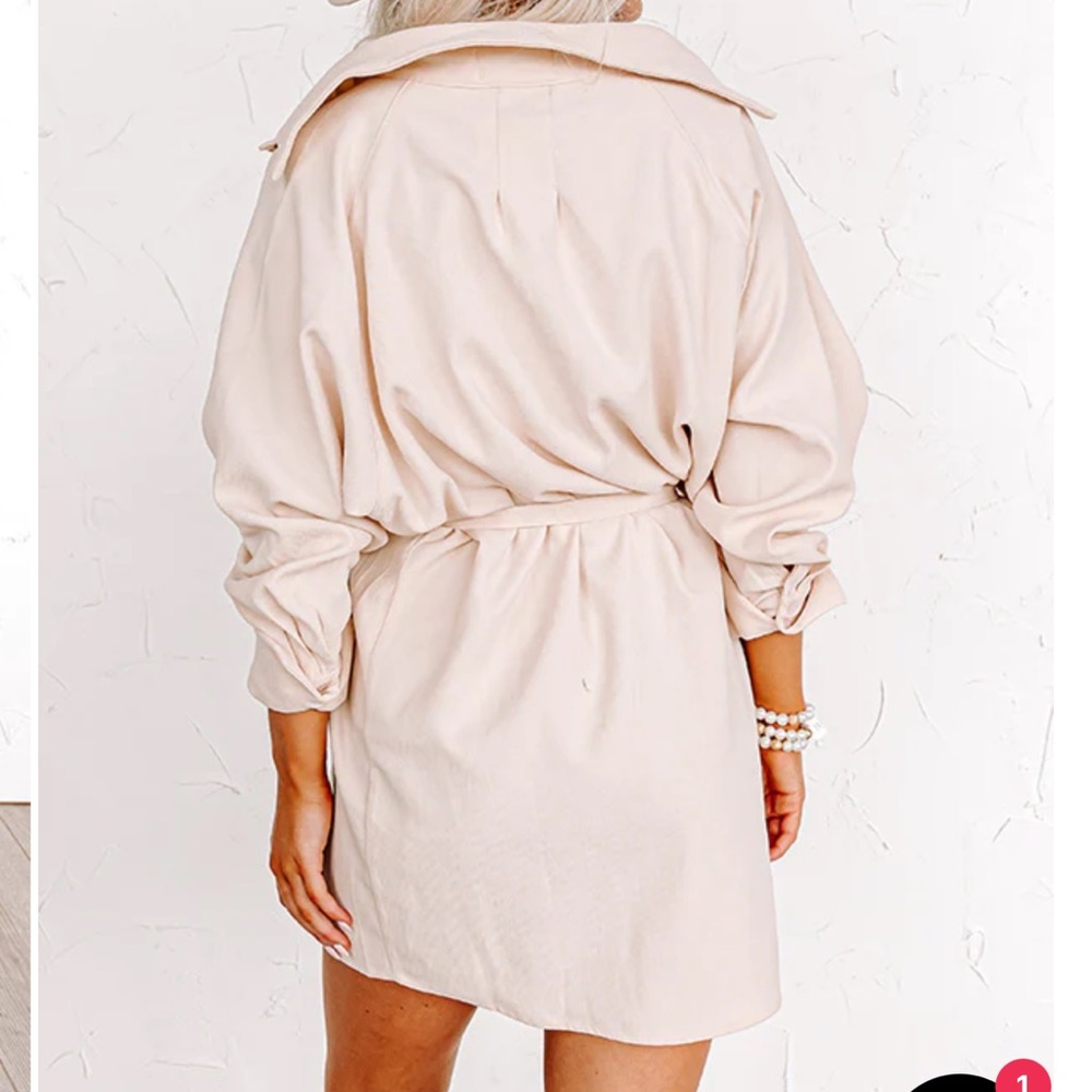 Western Beige Mini Dress - Picture 3 of 4